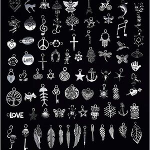 Silver Charm Collection